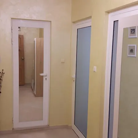דירה Topalovi *